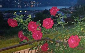 B&B Le Rose